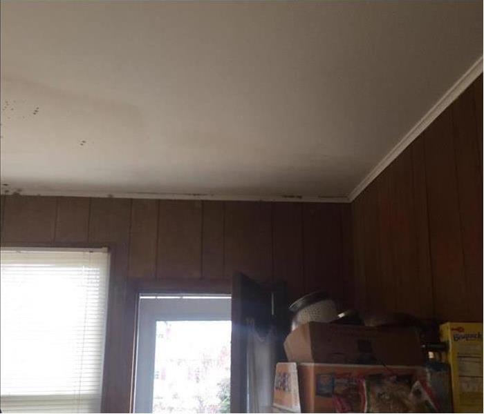 Visible mold growth on the ceiling of a wood paneled room.  of 